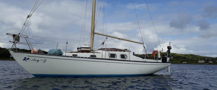 Welcome to Avy-J’s Website