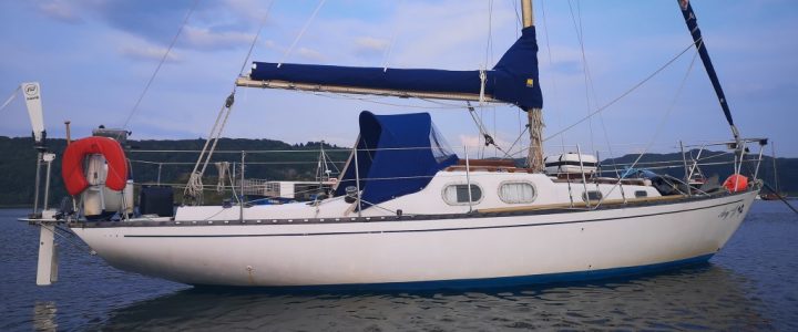 Avy-J with her new stackpack