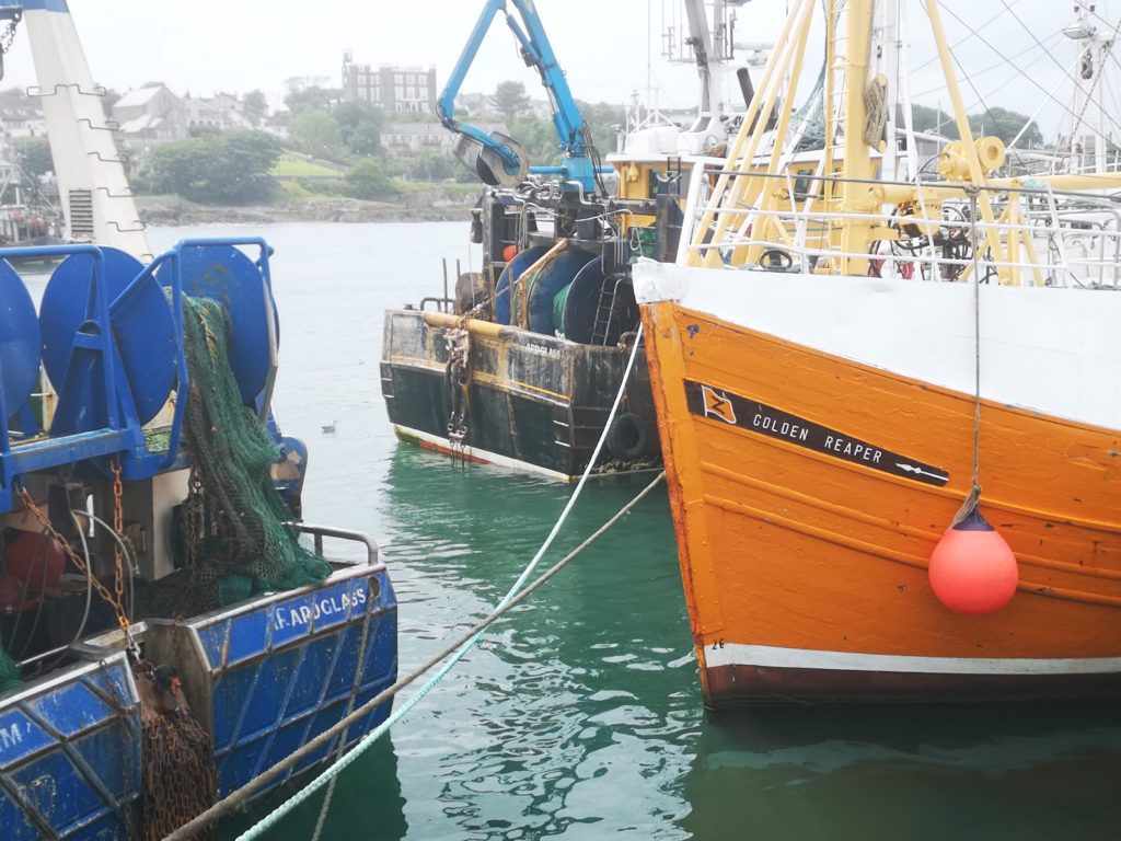 Fishing fleet