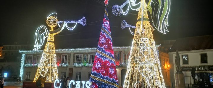 Catherine’s Log Cascais Dec 2020