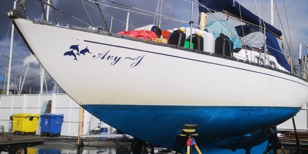 Catherine’s Log Cascais Feb 2021